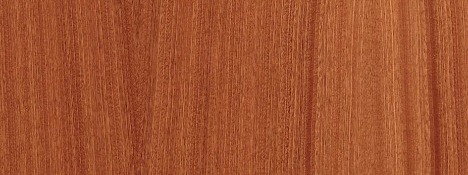 Finition tôle ton bois Acajou clair - porte blindée Fichet Protecdoor+